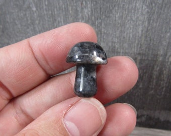 Lavarkite Stone Small Fairy Mushroom F249