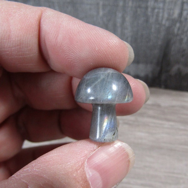 Labradorite Small Fairy Mushroom F228