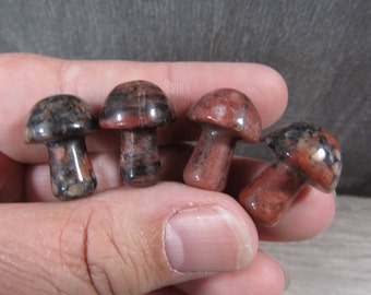 Red Sesame Jasper Fairy Mushroom Small Shaped Stone