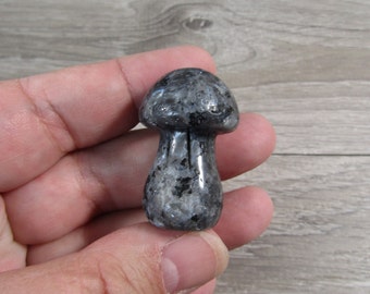 Lavarkite Fairy Mushroom 1.5 inch +/- Shaped Stone