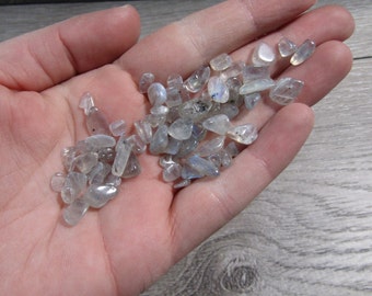 Labradorite Stone Chips 0.8 ounce Bag T200