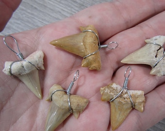 Shark Tooth Wire Wrapped Pendant P 57