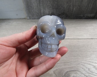 Druzy Agate Skull 8.9 oz #7346 cc