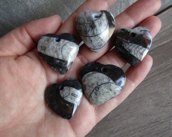 Orthoceras Heart Shaped Stone Bead J39