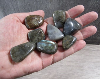 Labradorite Tumbled Stone 0.75 inch + Crystal