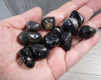 Black Onyx 0.75 inch + Tumbled Stone T500