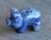 Sodalite Pig Stone Animal Figurine F119