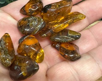Baltic Amber 3/4" Tumbled Stone