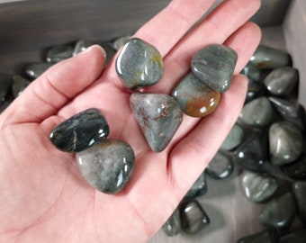 Cats Eye Tumbled Stone 0.75 inch + Crystal