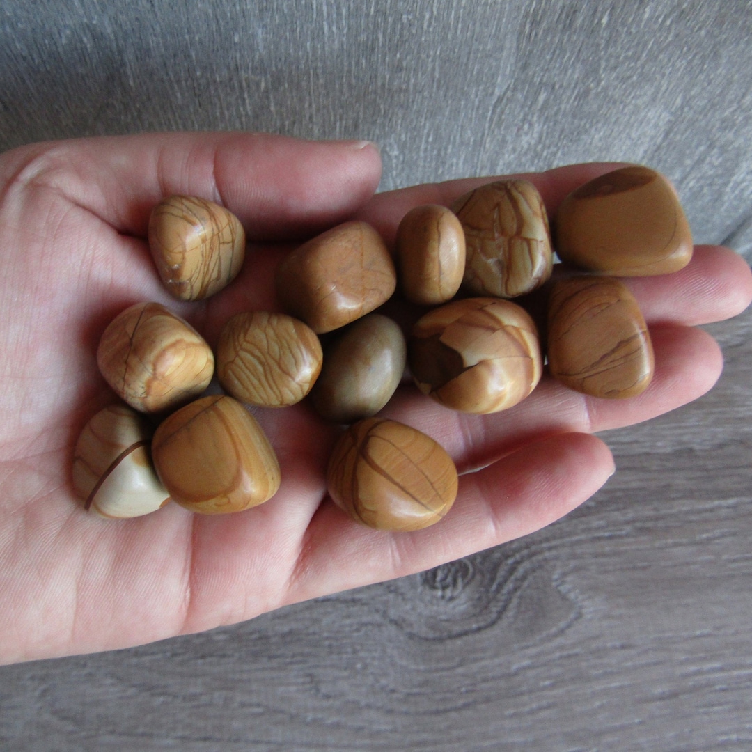 Walnut Jasper 0.75 Inch Tumbled Stone T257 Etsy
