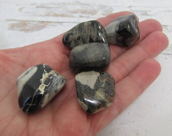 Silver Leaf Jasper 1 Inch Tumbled Stone T143 Etsy Silver Leaf Jasper 1 Inch Tumbled Stone T143 Etsy