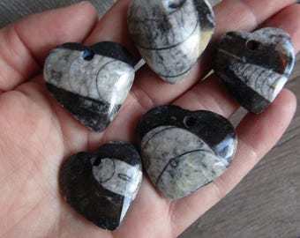 Orthoceras Heart Shaped Stone Bead J39