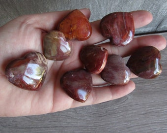 Petrified Wood Heart Shaped Stone