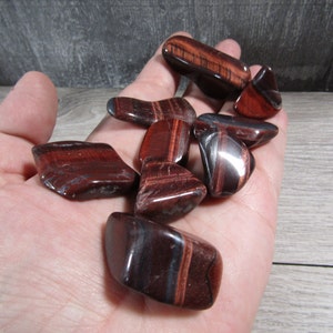 Red Tiger's Eye 0.75 inch + Tumbled Stone T65