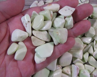 Green Lemon Chrysoprase Tumbled Stones 0.5 inch + Crystal