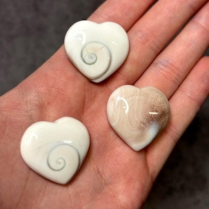 Shiva Eye Shell Heart – Third Eye Talisman, Spiritual Protection