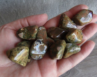 Rhyolite Rainforest Jasper Tumbled Stone 0.75 inch + Crystal