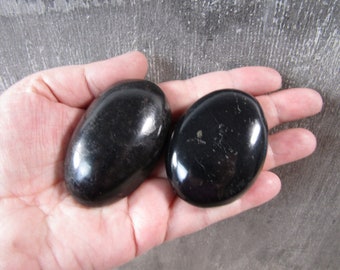 Black Tourmaline Palm Stone 2 inch + Fig 523