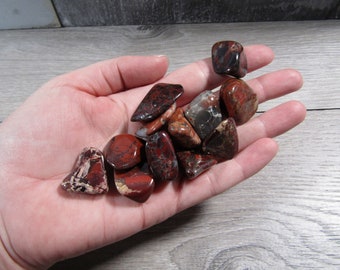 Red Brecciated  Jasper 1 inch + Tumbled Stone T209