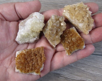 Citrine Crystal Cluster 1.5 inch + Raw Stone