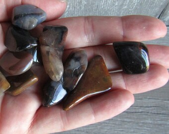 Petrified Wood Tumbled 0.75 inch + Crystal
