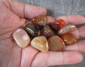 Fire Agate 0.5 inch + Tumbled Stone T34