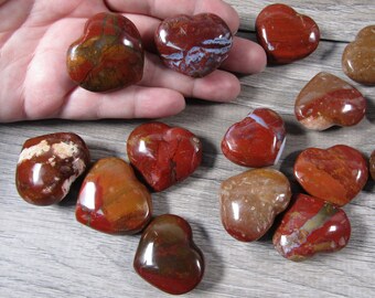 Petrified Wood Heart Shaped Stone About 38 mm Crystal