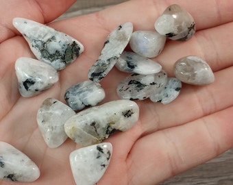 Rainbow Moonstone 0.5 inch + Tumbled Stone T176