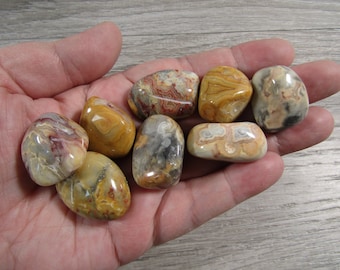 Crazy Lace Agate 1 inch + Tumbled Stone T295