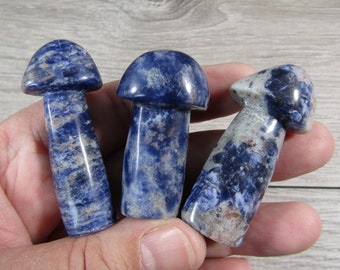 Sodalite Fairy Mushroom Shaped Stone