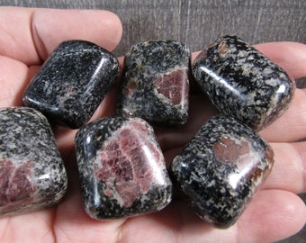 Garnet in Biotite Tumbled Stone 1 inch + Crystal