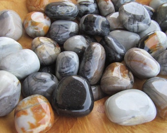 Picasso Jasper Tumbled 0.75 inch + Stone T62