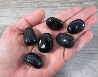 Black Tourmaline 1 inch + Tumbled Stone T481