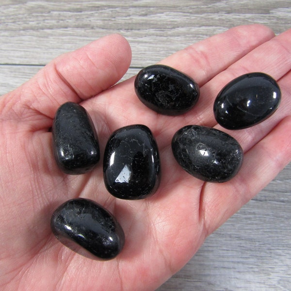 Black Tourmaline 1 inch + Tumbled Stone T481