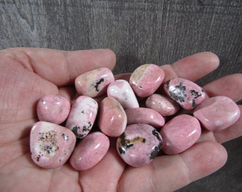 Peruvian Rhodonite 0.75 inch + Tumbled Stones T261