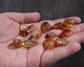 Citrine 0.5 inch + Tumbled Stone T443