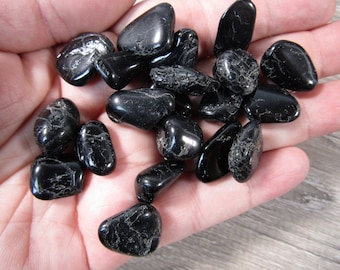 Black Tourmaline 0.25 inch + Tumbled Stone T172