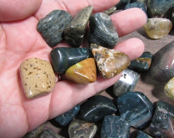 Ocean Jasper Tumbled 1 inch + Crystal