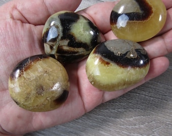 Septarian Barite Calcite Nodule Palm Stone  E2