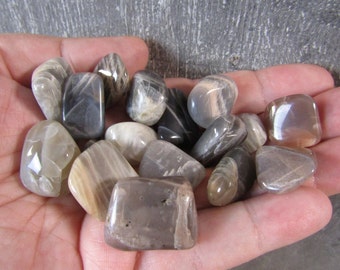 Black Moonstone Tumbled Stone 0.5 inch + Crystal