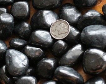 Shungite 0.75 inch + Tumbled Stone T45