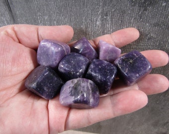 Lepidolite 0.75 inch + Tumbled Stone T348