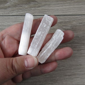 Selenite raw 2 inch white sticks in hand with grey background