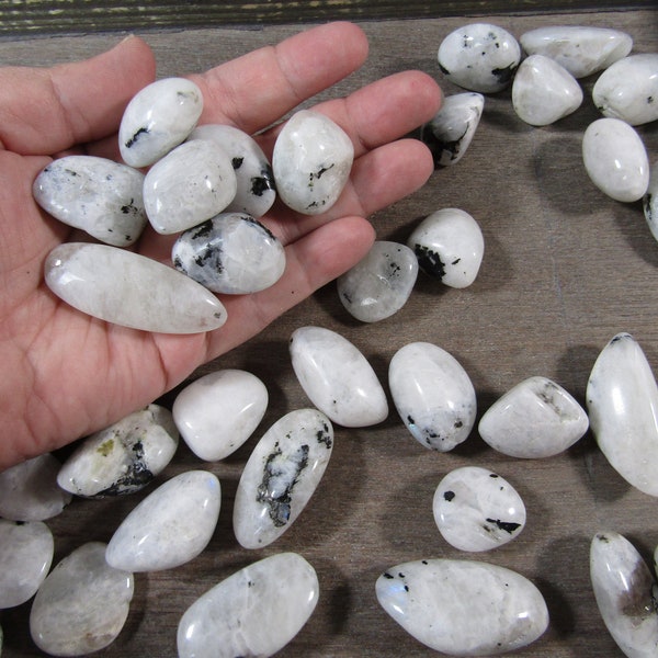 Rainbow Moonstone 1 inch + Tumbled Stone T522