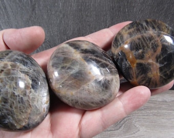 Black Moonstone 2" Large Palm Stone