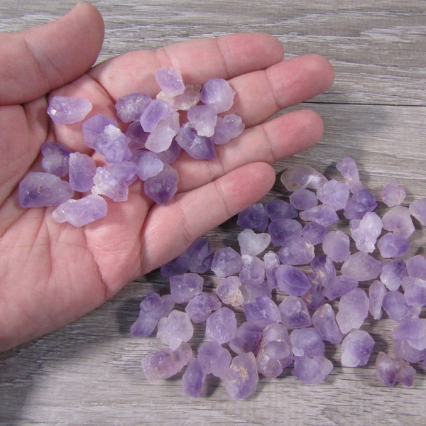 Amethyst Raw Backbone Small Stone U7