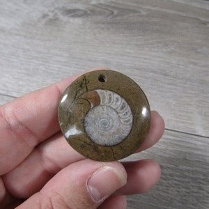Ammonite Fossil Focal Bead M185