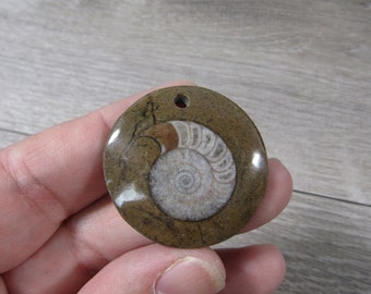 Ammonite Fossil Focal Bead M185