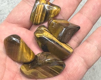 May include: A collection of polished tiger's eye stones. The stones display a mix of golden brown and dark brown colors with natural striped patterns. The tumbled stones are smooth and have a glossy finish, ideal for crystal healing or decorative use.