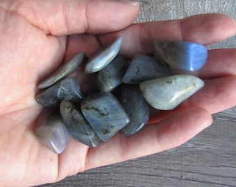 Labradorite Tumbled 0.75 inch + Crystal